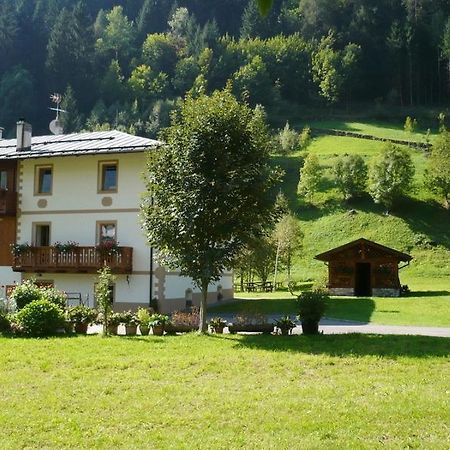 B&B Il Sorriso Dei Nonni Pracorno di Rabbi Bagian luar foto